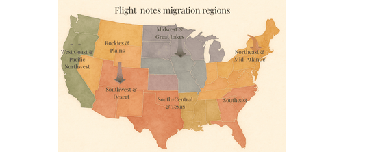 Fuel the Journey: 5 Ways to Help Migrating Birds This Fall - Swooply Shop