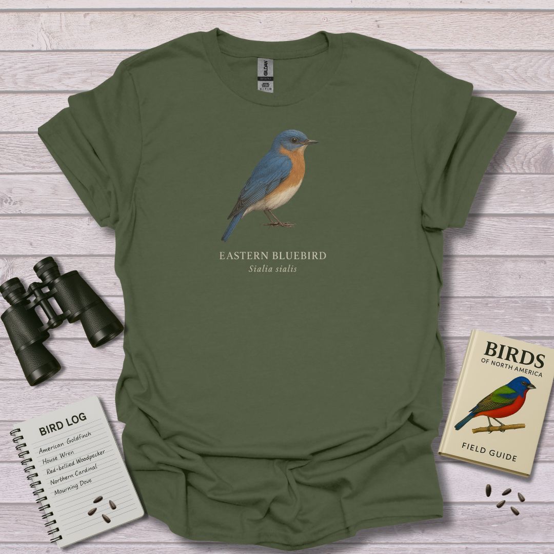 EASTERN BLUEBIRD 1