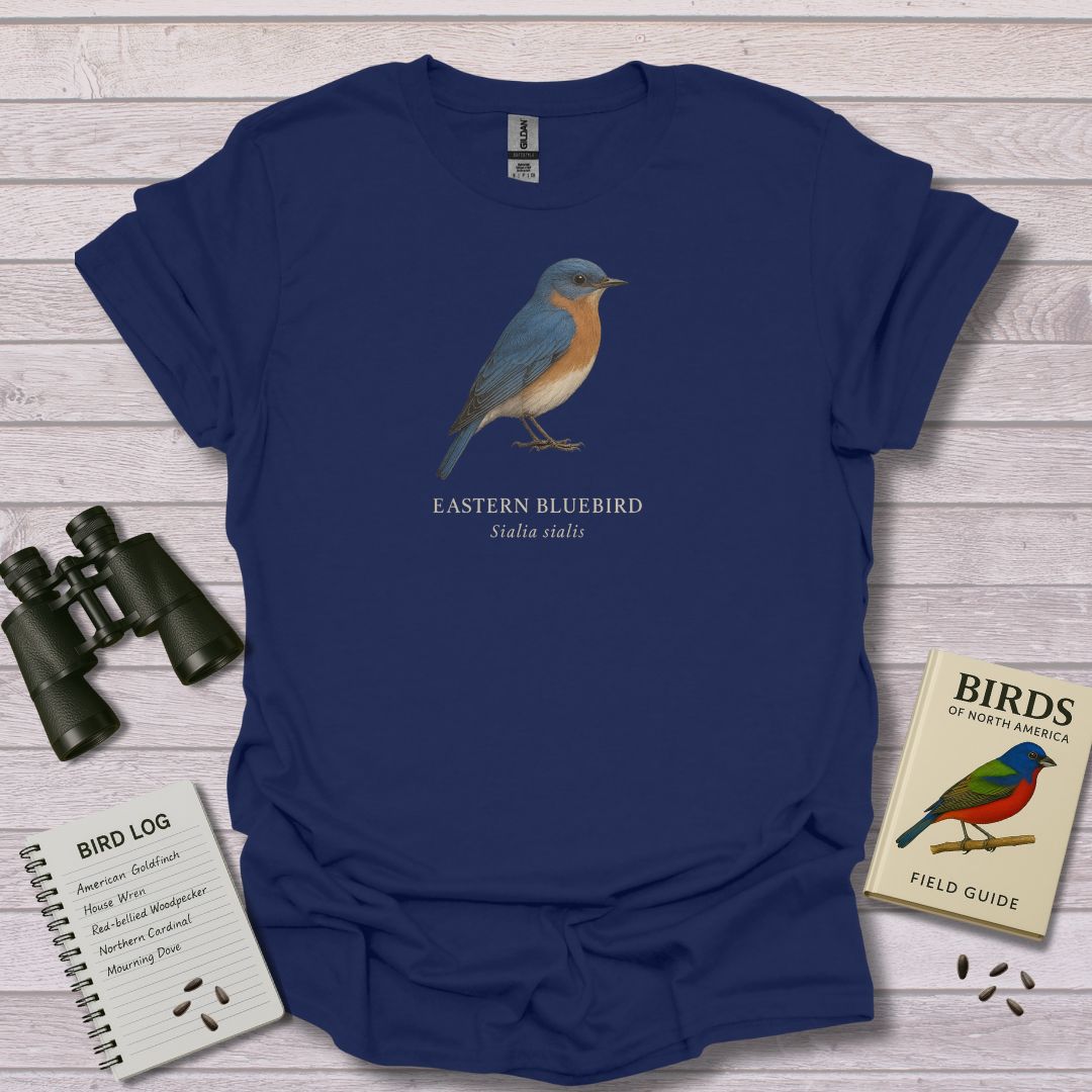 EASTERN BLUEBIRD 1