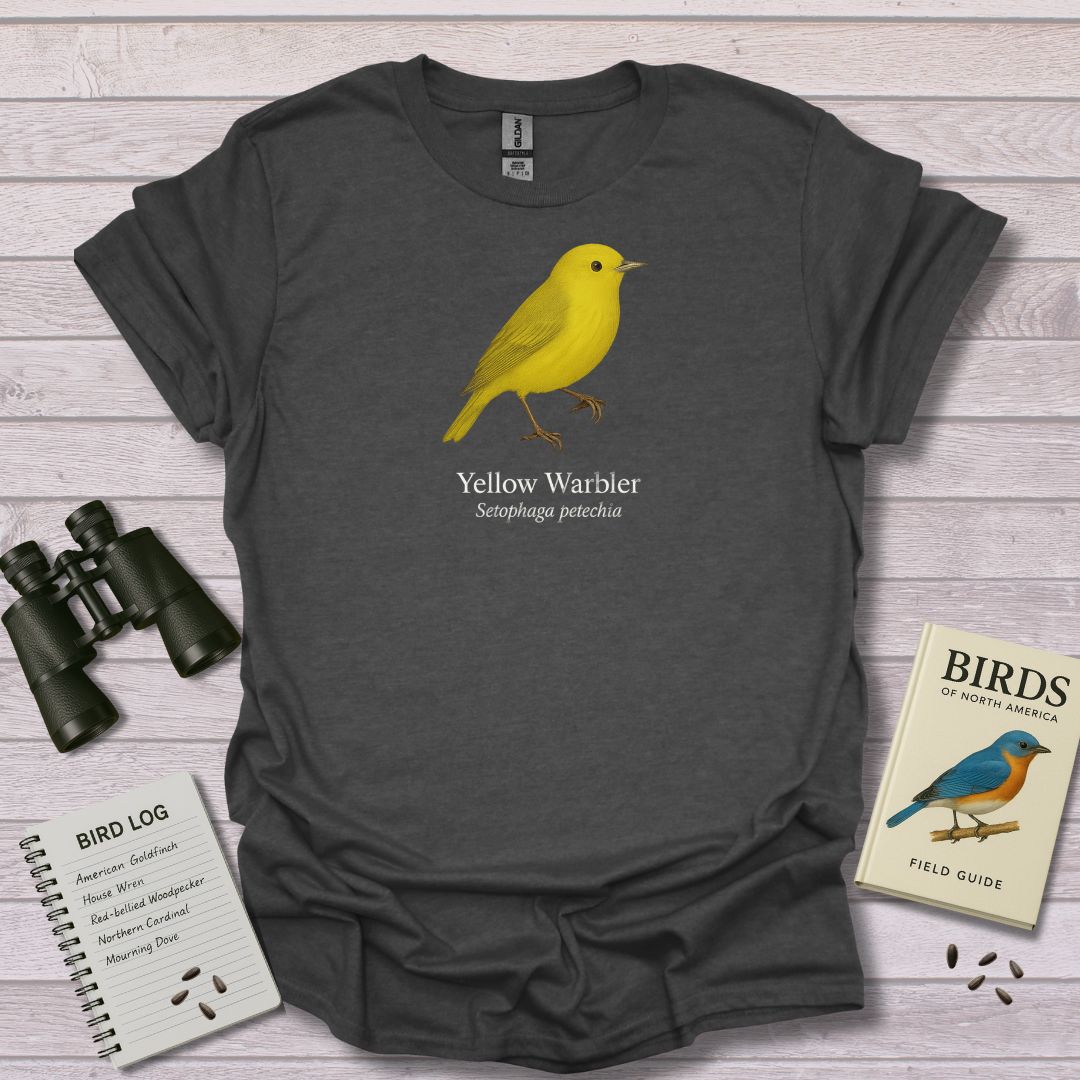 YELLOW WARBLER 1