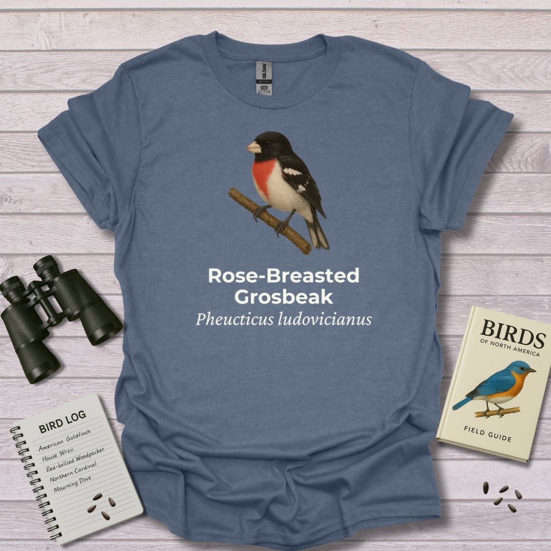 Rose-breasted Grosbeak - Swooply Shop