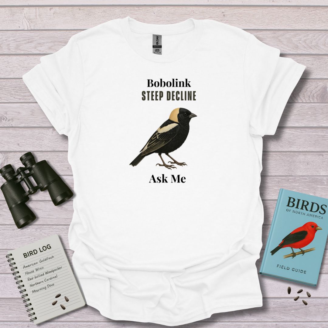 SONG LOST Bobolink - Swooply Shop