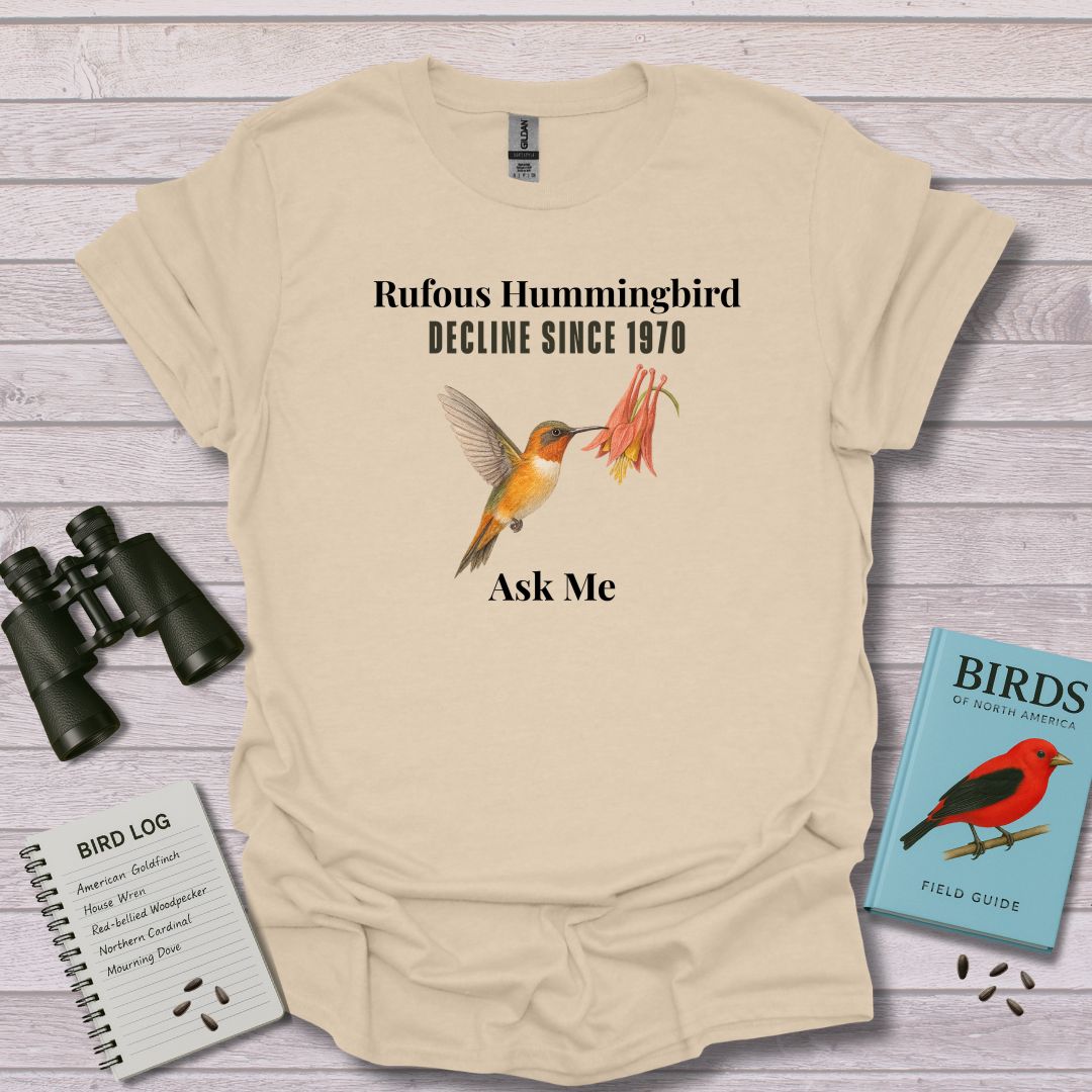 SMALL WINGS hummingbird - Swooply Shop