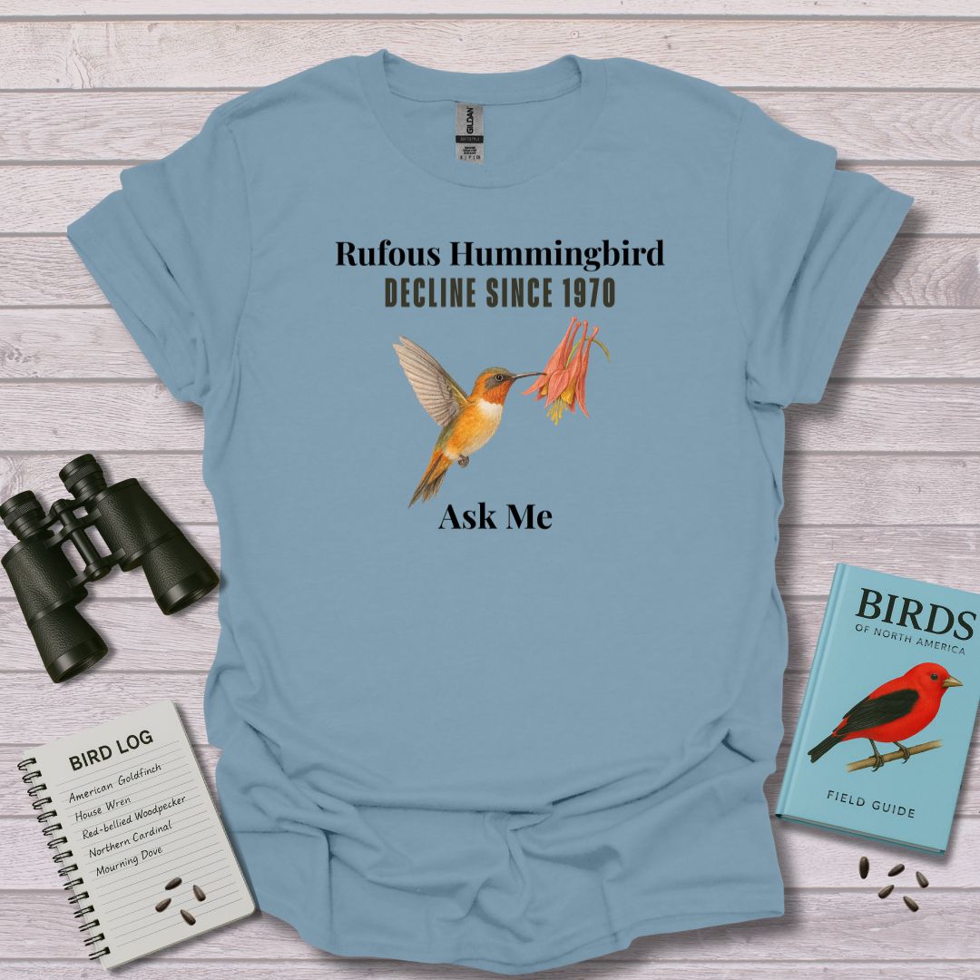 SMALL WINGS hummingbird - Swooply Shop