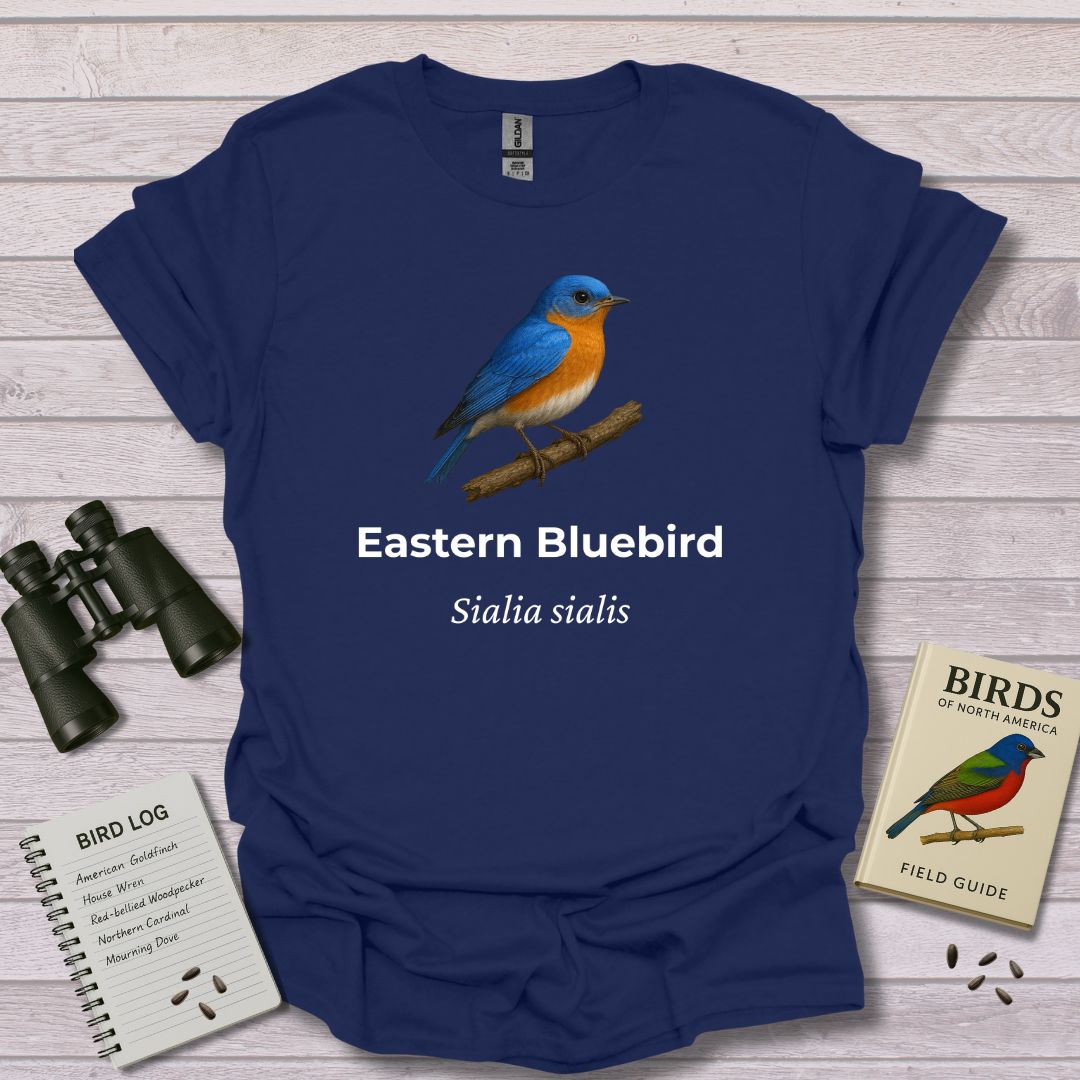 EASTERN BLUEBIRD 1 - Swooply Shop