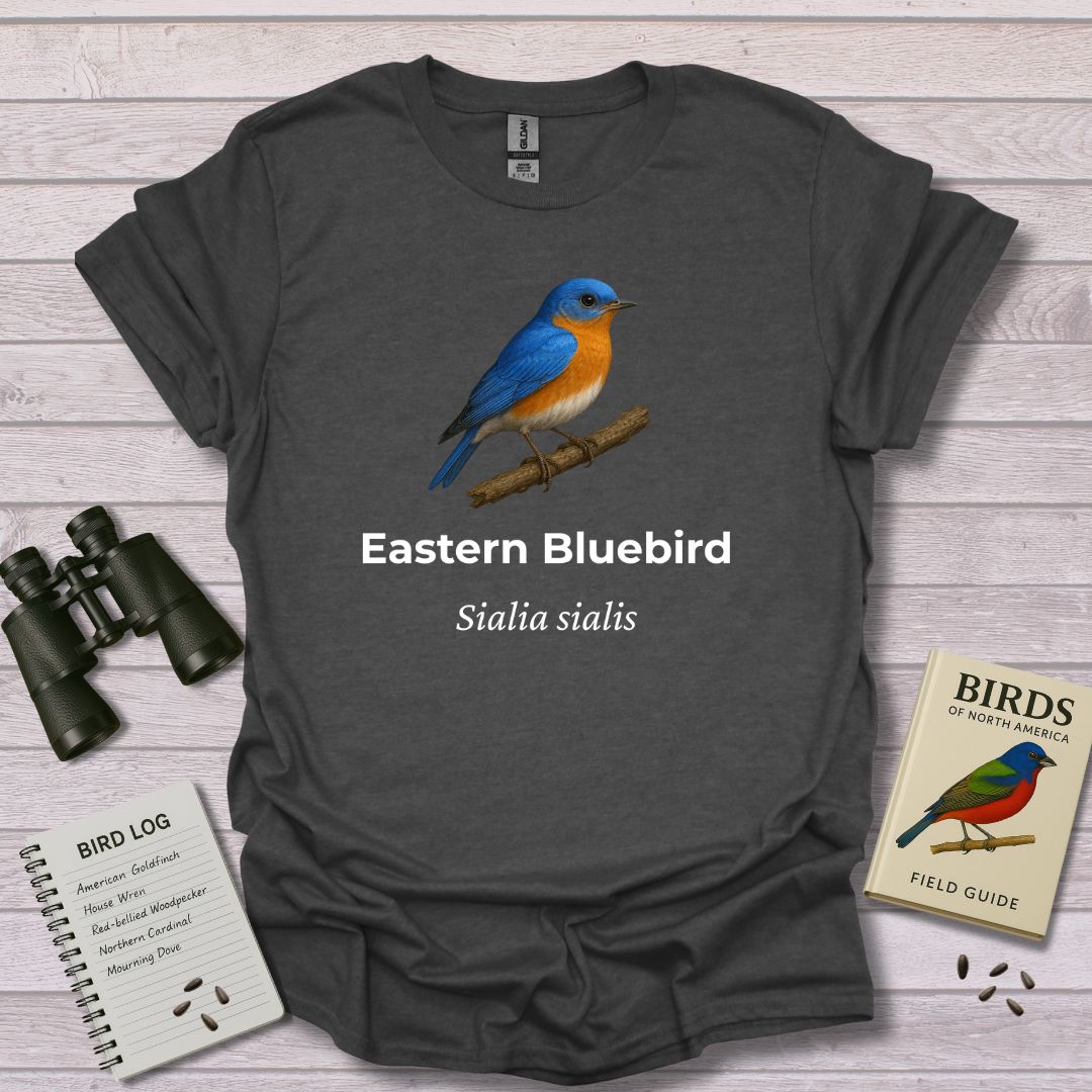EASTERN BLUEBIRD 1 - Swooply Shop