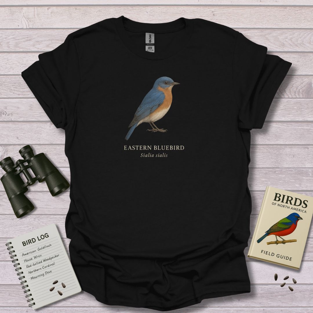 EASTERN BLUEBIRD 1 - Swooply Shop