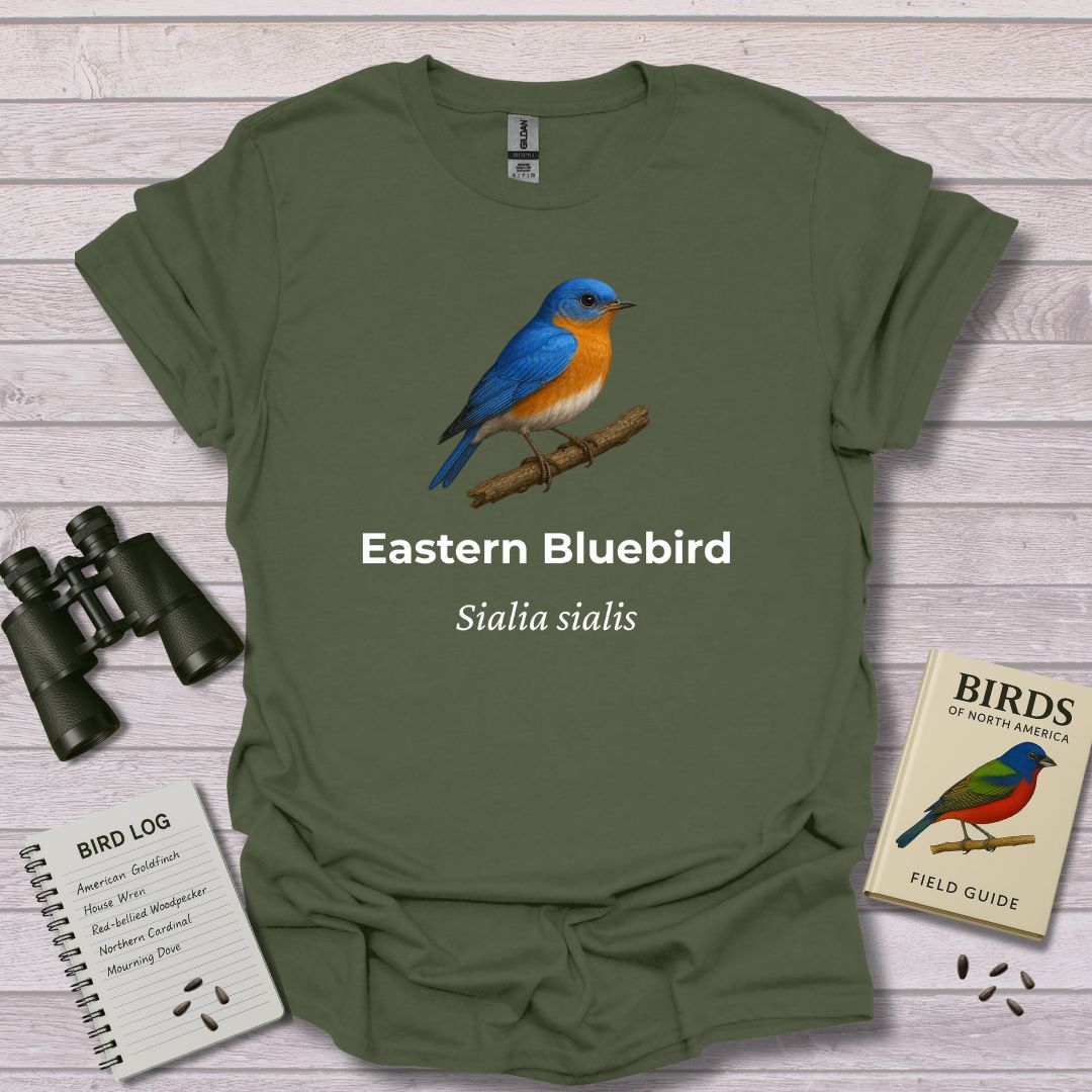 EASTERN BLUEBIRD 1 - Swooply Shop