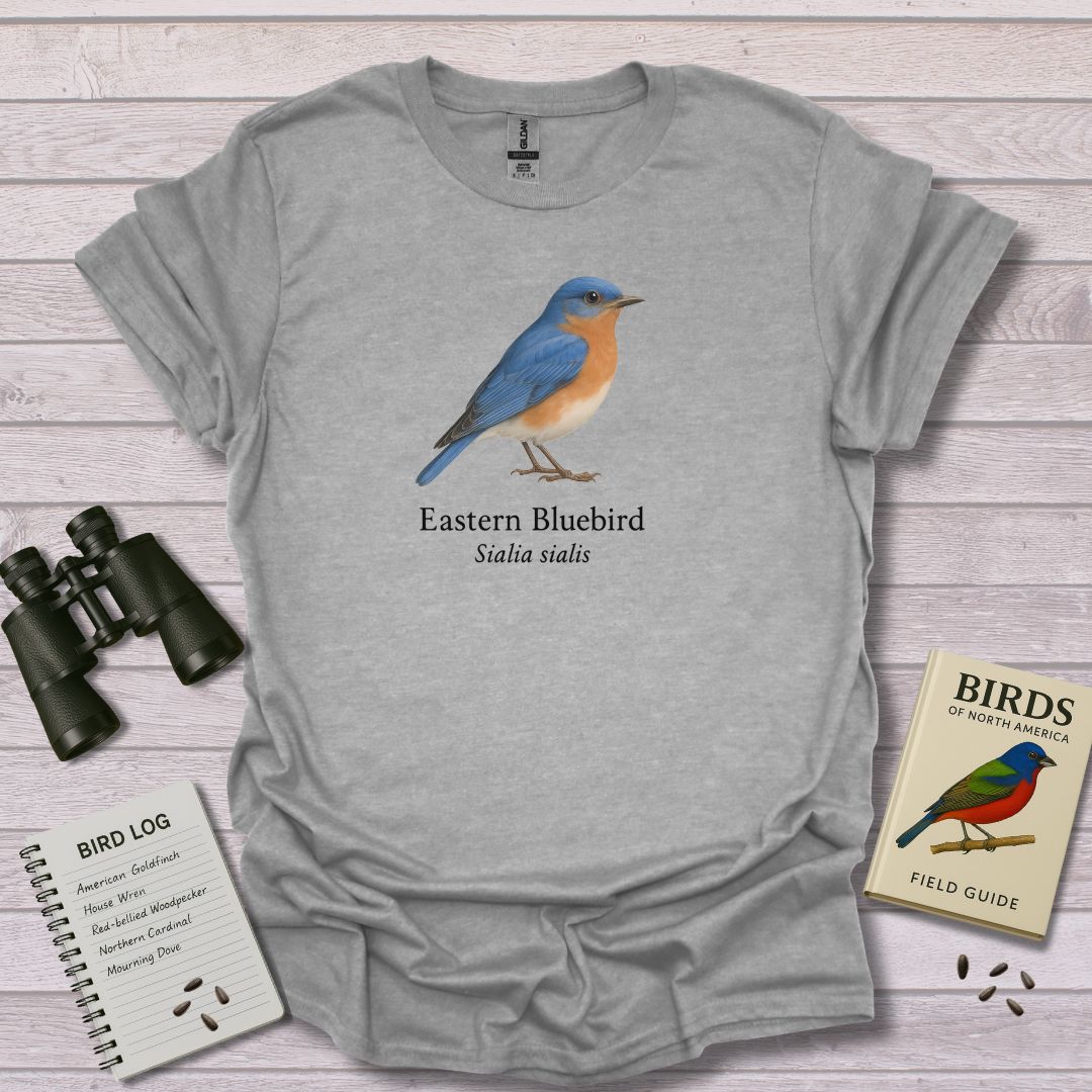 EASTERN BLUEBIRD 2 - Swooply Shop