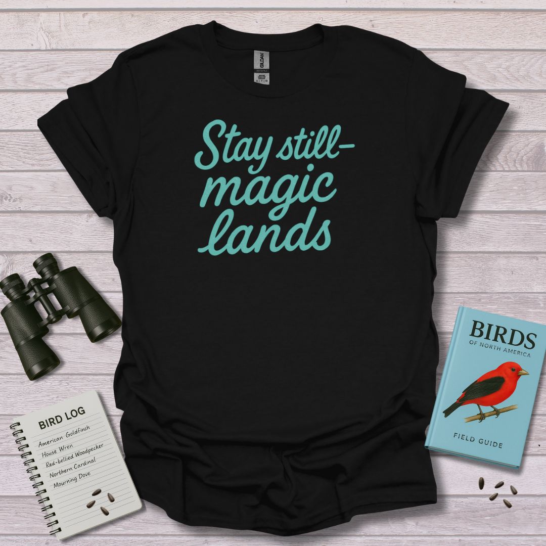 MAGIC LANDS - Swooply Shop