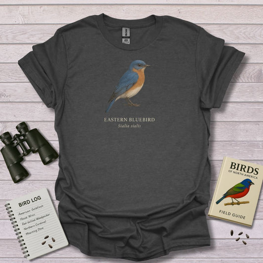 EASTERN BLUEBIRD 1
