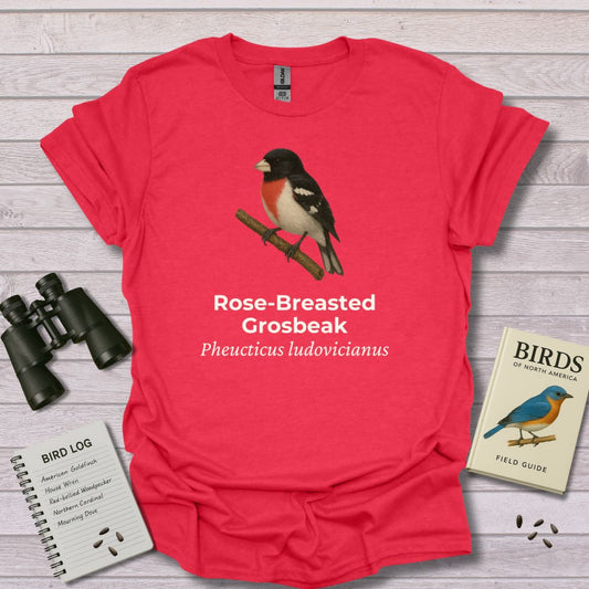 ROSE GROSBEAK