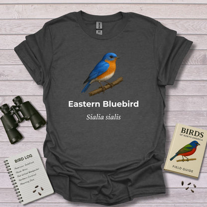 EASTERN BLUEBIRD 1 - Swooply Shop