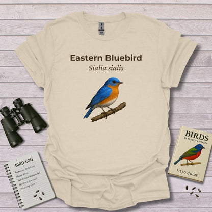 EASTERN BLUEBIRD 2 - Swooply Shop