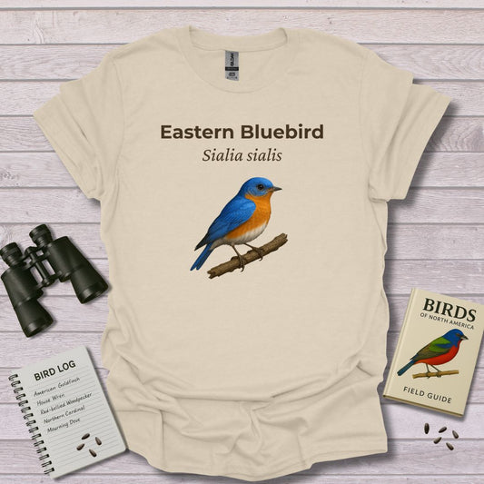 EASTERN BLUEBIRD 2 - Swooply Shop