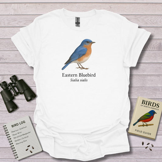 EASTERN BLUEBIRD 2 - Swooply Shop