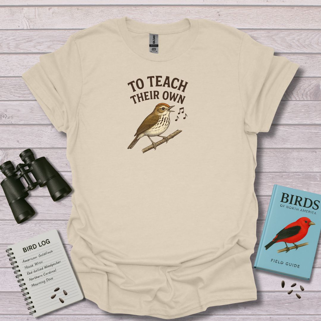 OVEN BIRD TEACHER - Swooply Shop