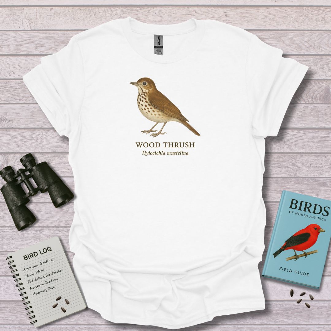 WOOD THRUSH 2 - Swooply Shop