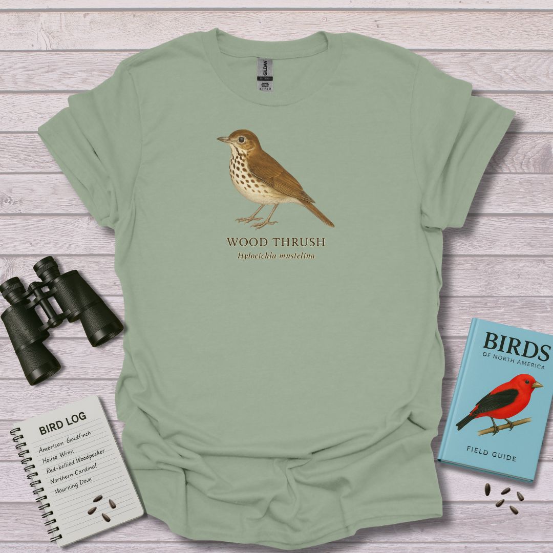 WOOD THRUSH 2 - Swooply Shop
